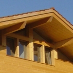 Holzbau